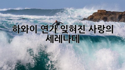 🌺 하와이 연가: 잊혀진 사랑의 세레나데 🎶